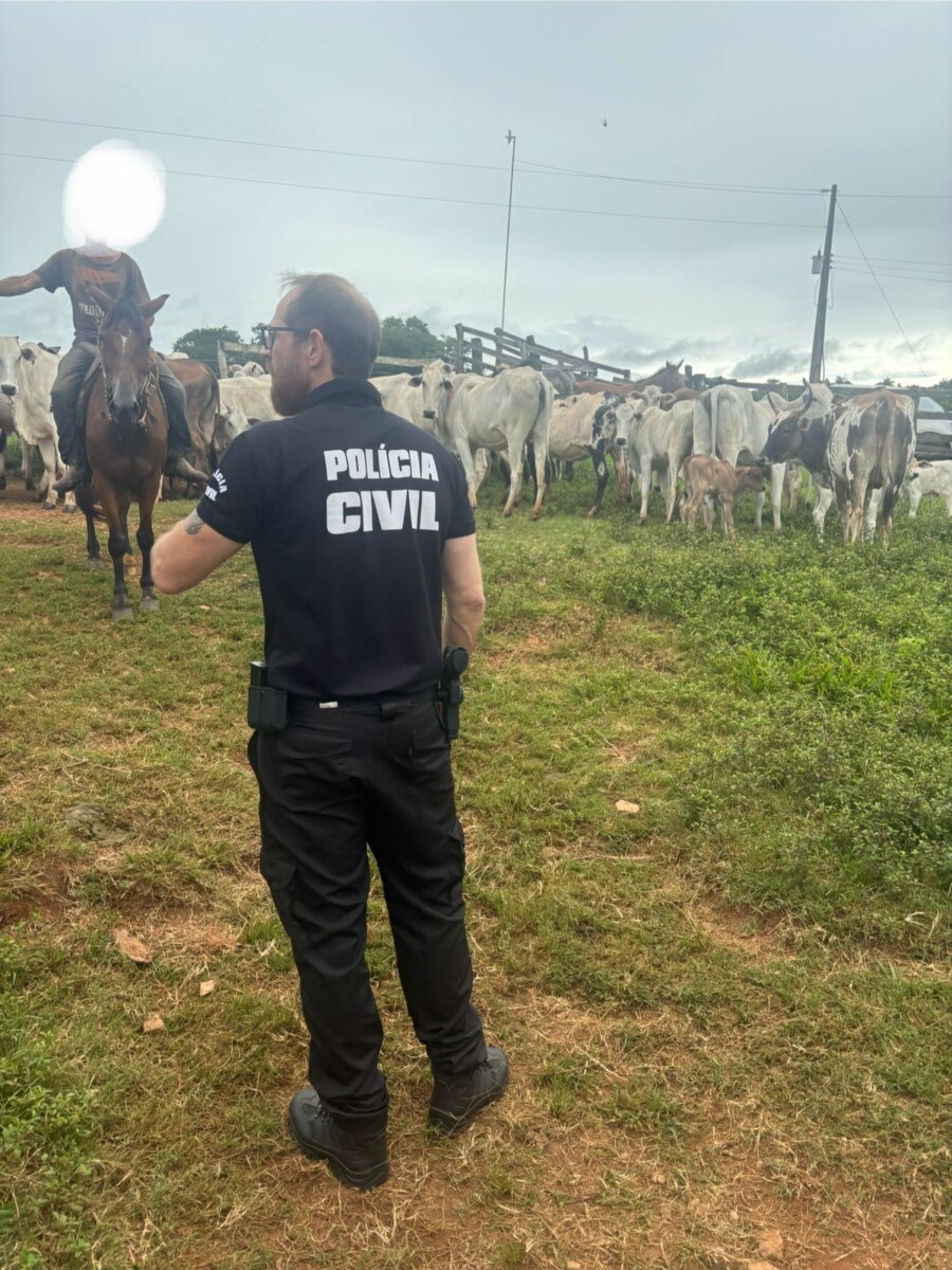 PC busca gado furtado vendido em leilão e encontra animais silvestres em cativeiro