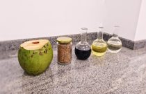 Biocombustível de coco impulsiona a transição energética no Brasil