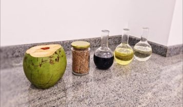 Biocombustível de coco impulsiona a transição energética no Brasil
