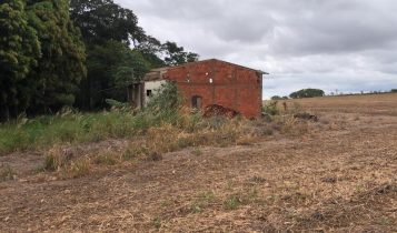 Propriedade rural vai a leilão em Ponta Porã (MS) com lances a partir de R$ 3,5 milhões