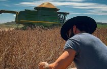 Gusttavo Lima colhe mais de 80 sacas de soja por hectare em fazenda milionária