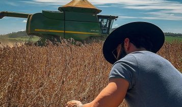 Gusttavo Lima colhe mais de 80 sacas de soja por hectare em fazenda milionária