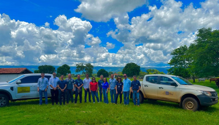 Missão do México realiza auditoria em Mato Grosso para expandir mercado de exportação de farinha de carne e osso