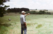 Guerra econômica nos EUA: Congelamento de verbas do USDA ameaça agricultores americanos