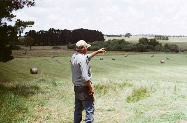 Guerra econômica nos EUA: Congelamento de verbas do USDA ameaça agricultores americanos