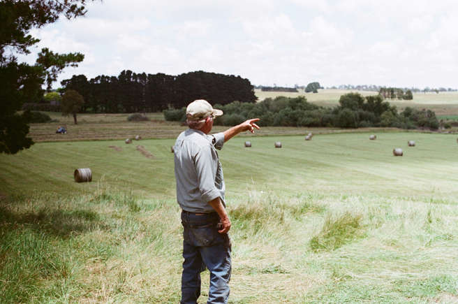 Guerra econômica nos EUA: Congelamento de verbas do USDA ameaça agricultores americanos