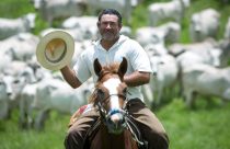 Boiadeiro - Alagoas - Cavalo - Foto Wenderson Araujo fotao