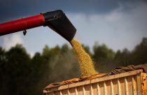 Grupo Terra Fertil apresenta plano com desconto de 85 a credores