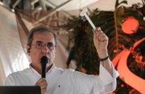 Parceria Leilões completa 10 anos em ano de retomada da pecuária do Brasil