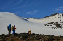 Fungo das “profundezas” da Antártica pode levar a novo bioinsumo