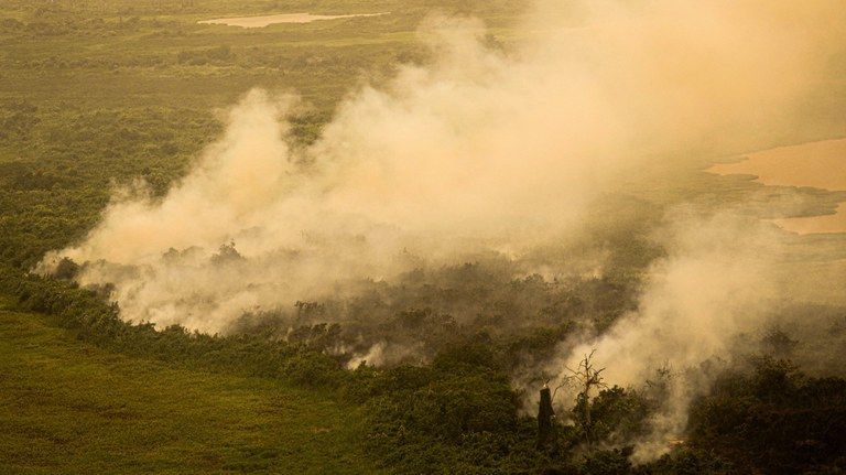 Produtores podem ser multados em R$ 76 milhões por danos ambientais