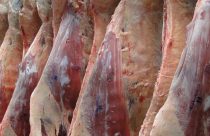 ABHB promove Concurso de Carcaças Carne Hereford edição especial para o Mundial Braford