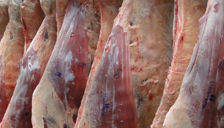 ABHB promove Concurso de Carcaças Carne Hereford edição especial para o Mundial Braford