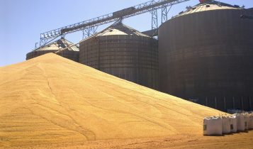 IBGE: estoque de agrícolas totaliza 36 milhões de t ao fim do 2º semestre de 2024