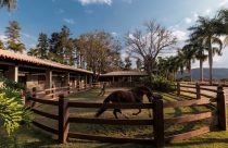 Condomínios equestres ganham força no mercado imobiliário