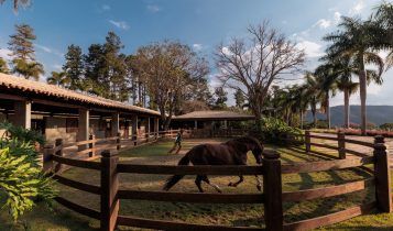 Condomínios equestres ganham força no mercado imobiliário