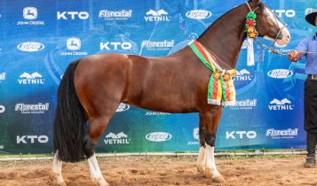 Foto: João Morais/Divulgação (Cara Pampa da Bézinha)