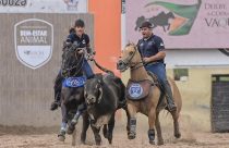 Vaqueira Jenniffer vence e é a grande bicampeã nacional de vaquejada; Vídeo