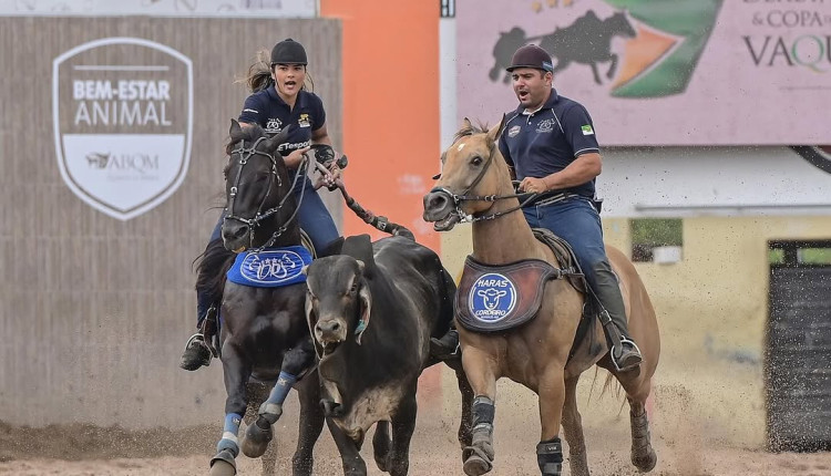 Vaqueira Jenniffer vence e é a grande bicampeã nacional de vaquejada; Vídeo