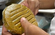 Pesquisadores usam coco babaçu para criar alimento similar a hambúrguer