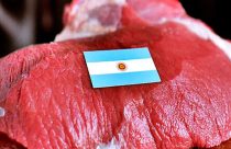 Preço do boi na Argentina “dificulta a vida da indústria”