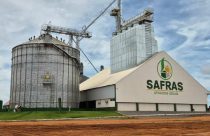 grupo safras