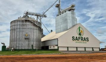 grupo safras