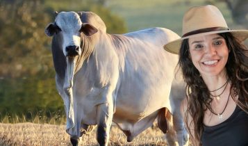 guta alonso - fazenda elge - nelore