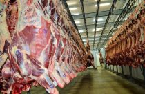 Brasil pode exportar até 300 mil toneladas de carne bovina para o Vietnã