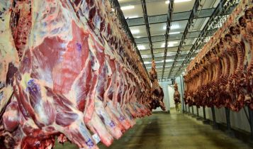 Brasil pode exportar até 300 mil toneladas de carne bovina para o Vietnã