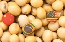 China retira tarifas de produtos agrícolas dos EUA, mas mantém taxa sobre a soja