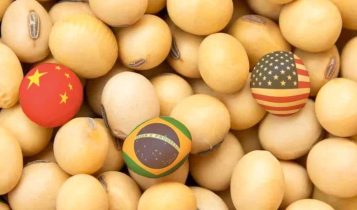 China retira tarifas de produtos agrícolas dos EUA, mas mantém taxa sobre a soja