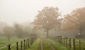 Outono começa com previsão de verão e chuva em várias regiões; veja os detalhes