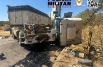 Gado invade rodovia em Bambuí, causa acidente e deixa dez animais mortos