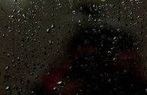 Umidade ideal do solo impulsiona o crescimento da soja; descubra as regiões beneficiadas