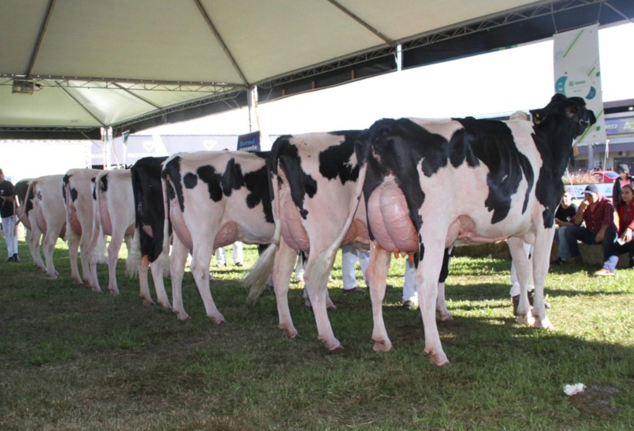 Produtores de leite gaúchos recebem o título de Criador Supremo