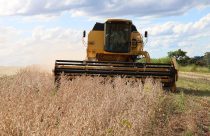 Volume de soja nos EUA inspecionado para exportação cai 4,12%, mostra USDA