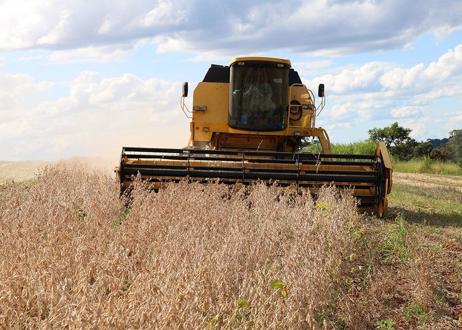 USDA amplia estimativa da safra de soja do Brasil para 169,5 mi de toneladas