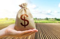 Aprosoja MT pede R$ 20 bilhões ao Mapa para viabilizar nova safra no estado