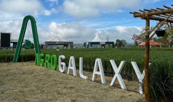 AgroGalaxy retoma recebimento de grãos no PR e em SP