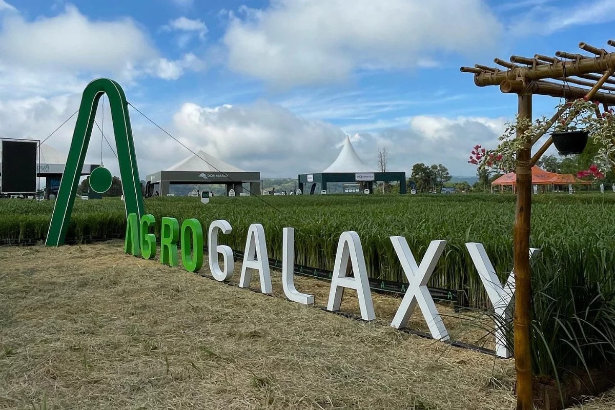 AgroGalaxy retoma recebimento de grãos no PR e em SP