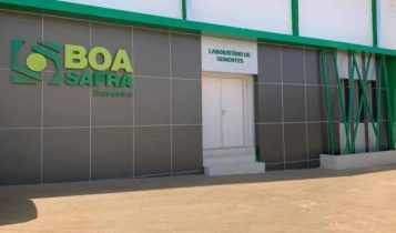 Lucro líquido da Boa Safra cai 62,68% no 4º tri de 2024, para R$ 80,26 milhões