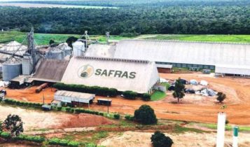 Justiça de MT concede 15 dias para Grupo Safras apresentar pedido formal de rj