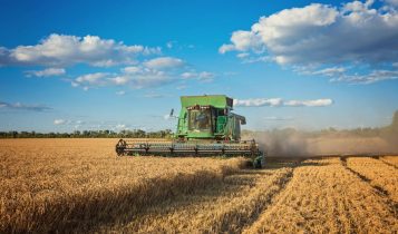 Gigante do agro abre 900 vagas para auditores agrícolas em quatro estados