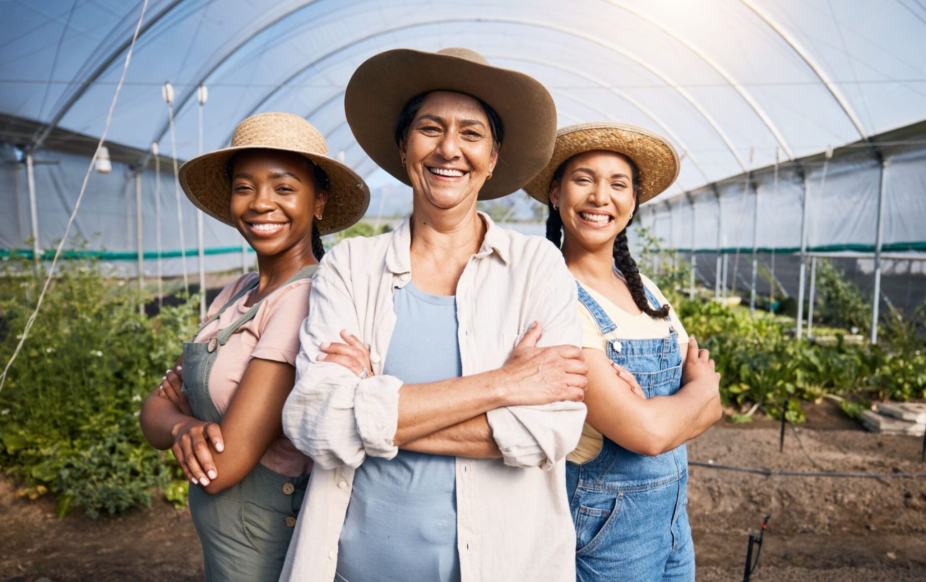 Dia Internacional das Mulheres: A força feminina que alimenta o agro e planta o futuro