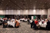 Vinhos e espumantes brasileiros conquistam 33 premiações no Vinalies