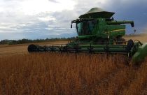 Rota Regenerativa, nova websérie, mostra como o agro brasileiro pode transformar o futuro da produção agrícola