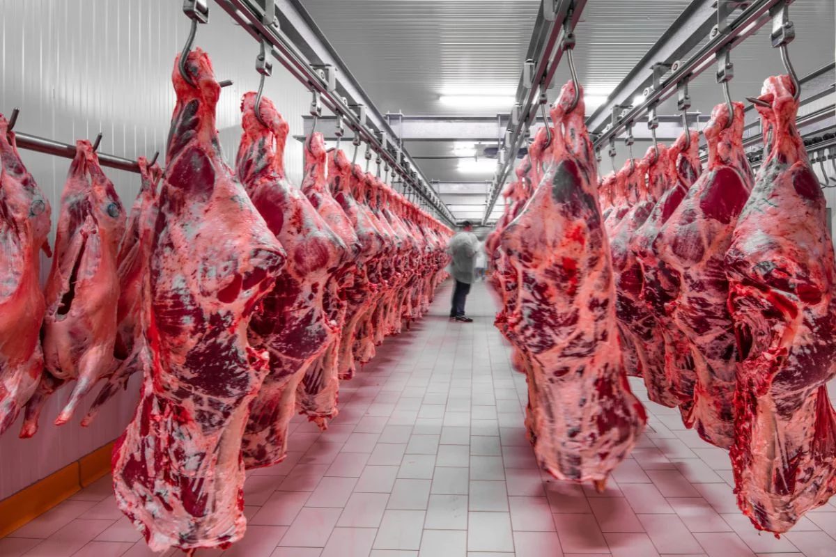 China: Abiec confirma suspensão de importação de carne de 3 empresas brasileiras