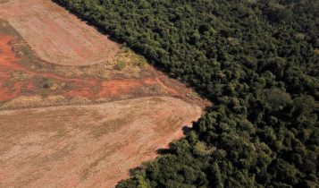 Obra em área ambiental causa polêmica em Belém às vésperas da COP30