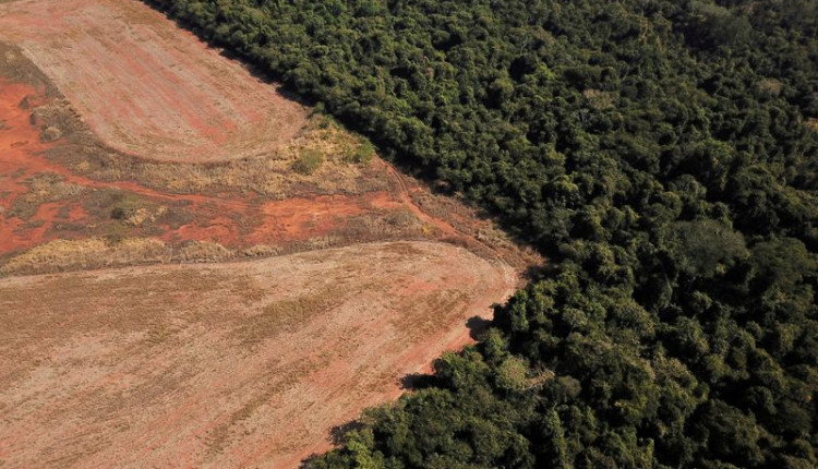 Obra em área ambiental causa polêmica em Belém às vésperas da COP30